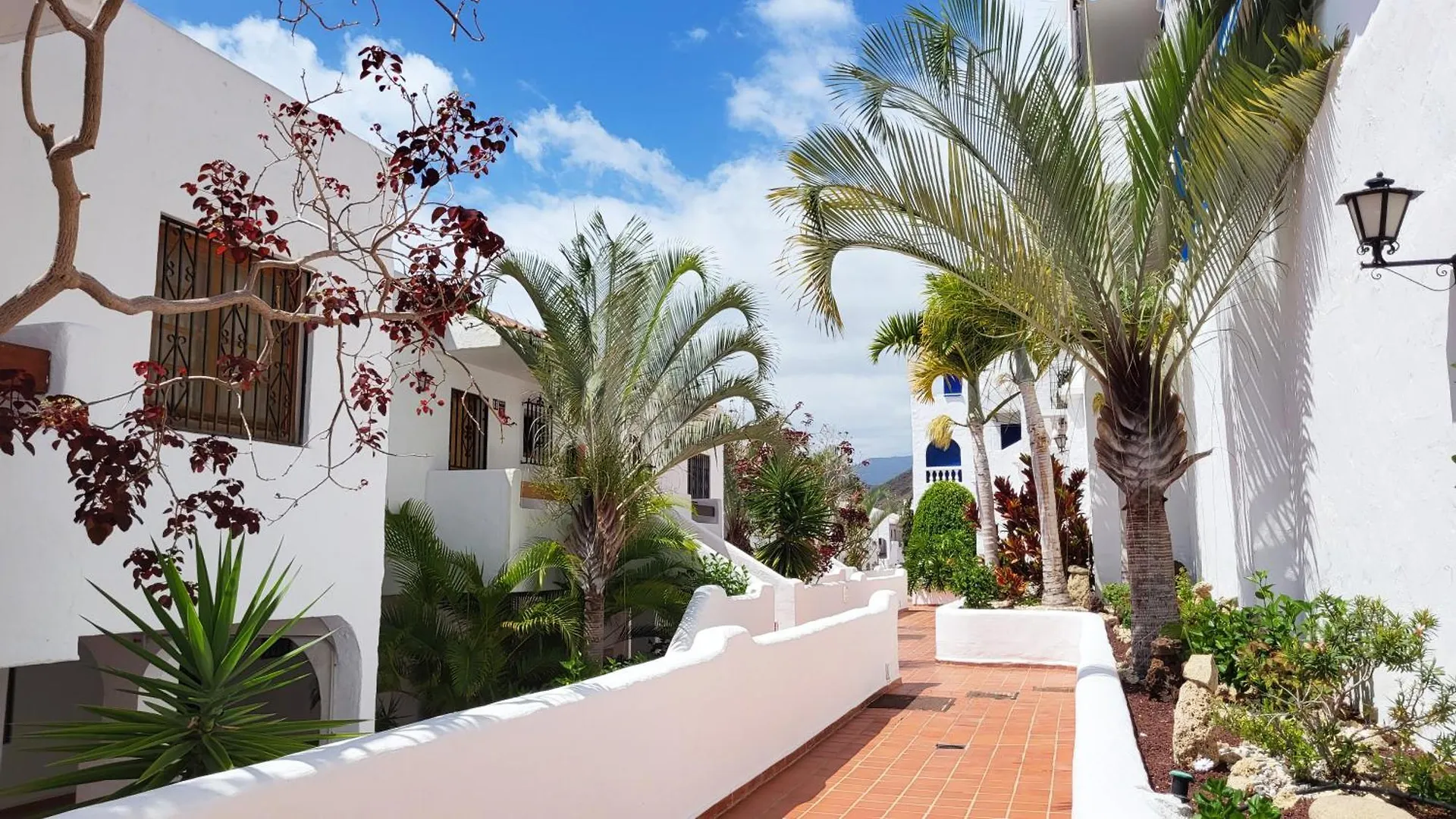 Sunset View, Los Cristianos - Port Royale 0*,  Spanyolország